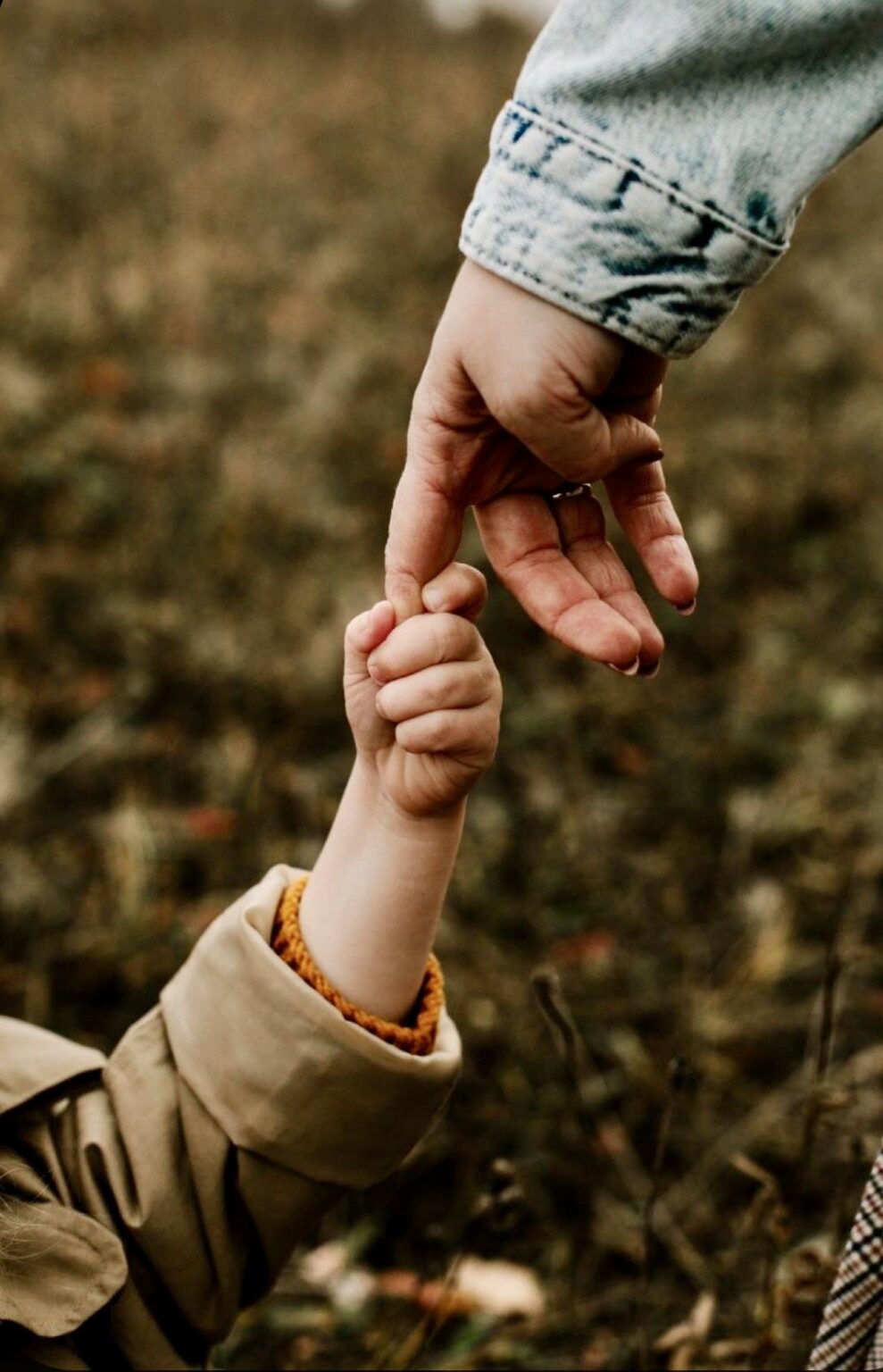 Μήνυμα Δημάρχου για τη Γιορτή της Μητέρας