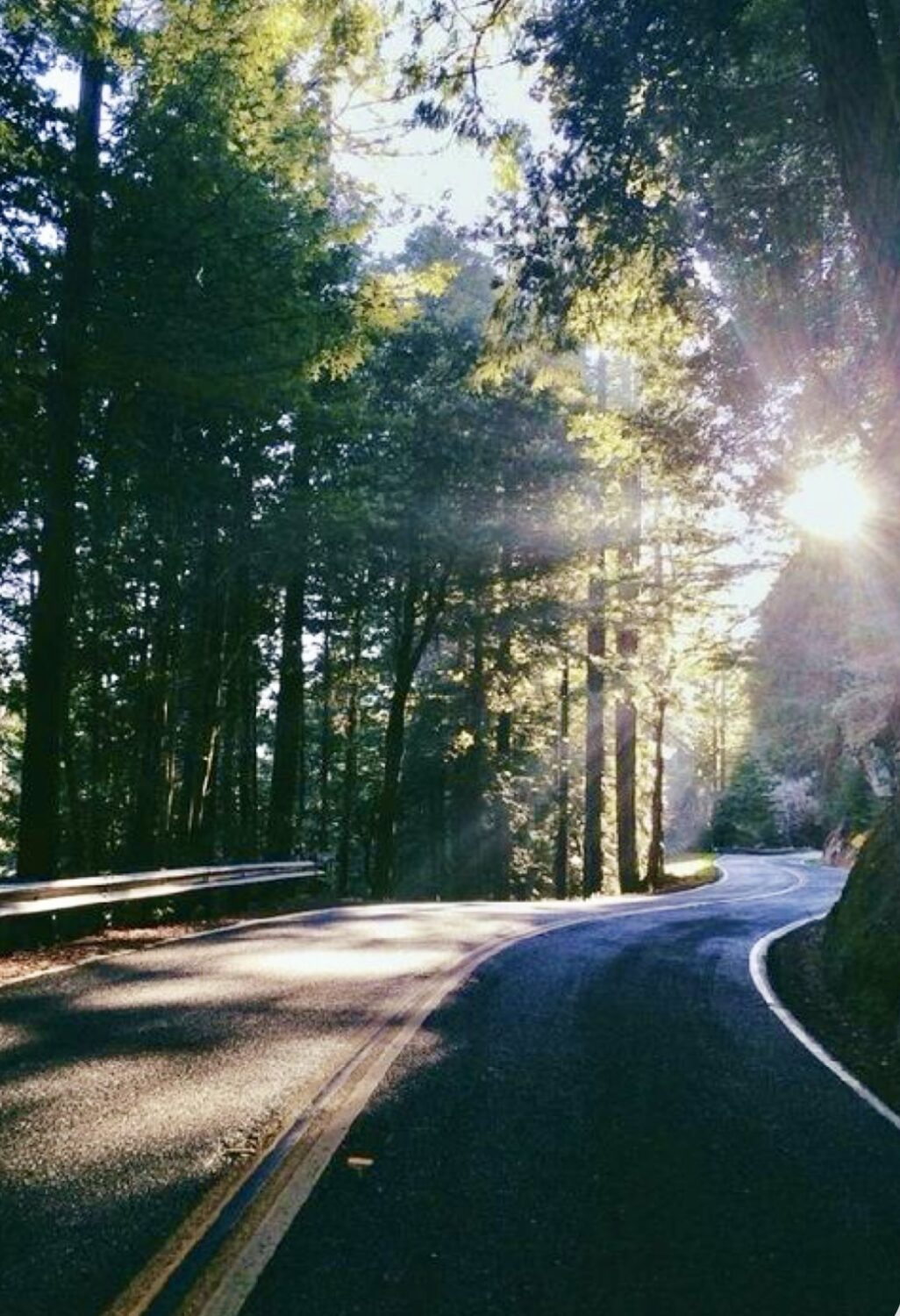 Να υλοποιηθεί ο δρόμος Πύργος – Καλό Νερό – Τσακώνα ζητά ο Δήμος Οιχαλίας