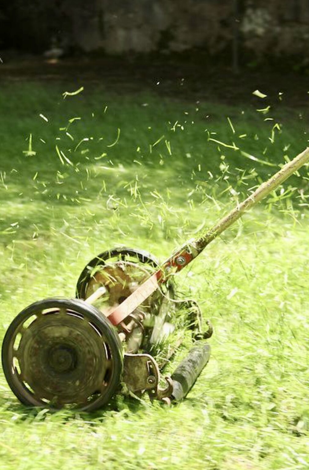 Μέχρι τις 15 Ιουνίου η παράταση για τον καθαρισμό των οικοπέδων