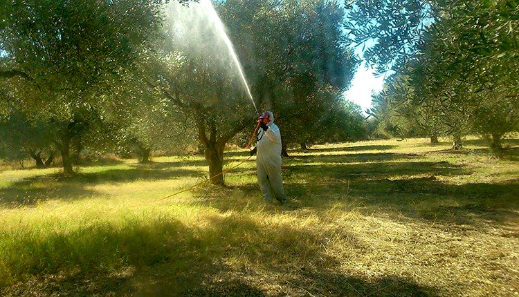 Ξεκινούν την Τετάρτη 17 Σεπτεμβρίου 2015 οι δολωματικοί ψεκασμοί στο Δώριο